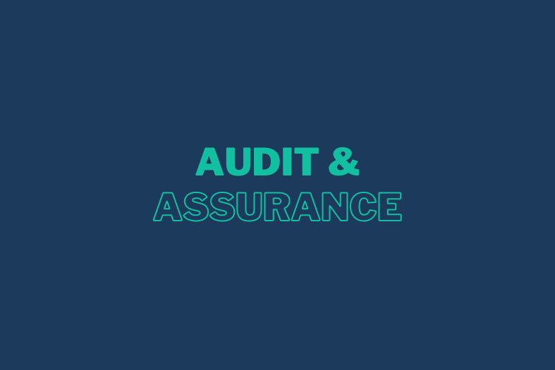 Audit and assurance